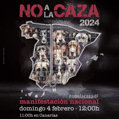 Manifestación No a la Caza