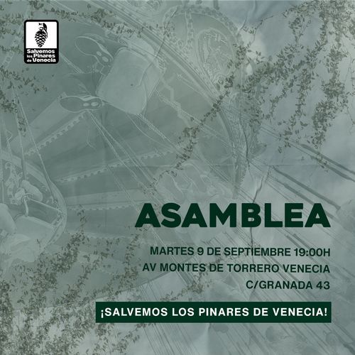 Asamblea: salvemos los pinares de Venecia