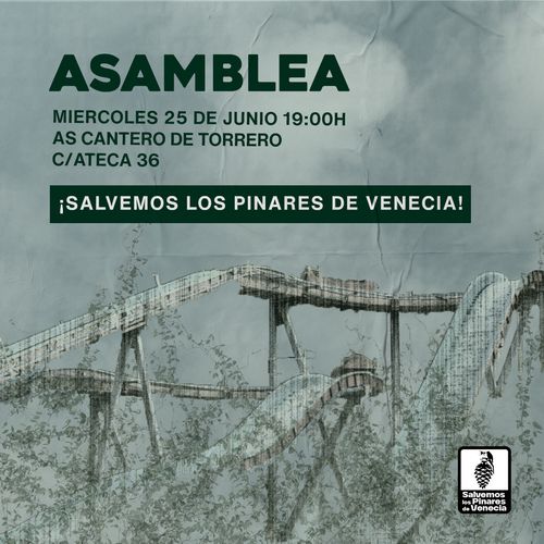 Asamblea salvemos los pinares de Venecia